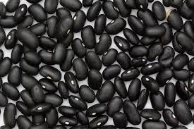 Black Turtle Beans - Salt Spring Seeds - Non-GMO/Heritage