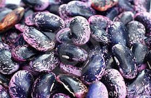 Load image into Gallery viewer, Scarlet Runner Beans (Phaseolus coccineus)
