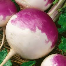 Turnip - Purple Top White Globe